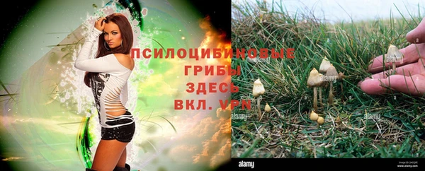 эйфоретик Балабаново