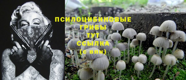 спиды Баксан
