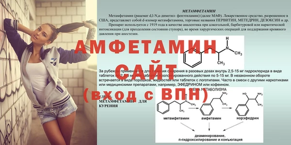 гидра Балахна