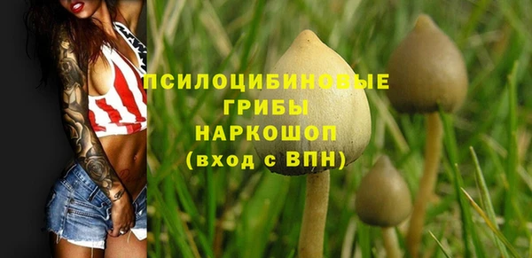 МДПВ Аркадак