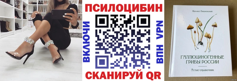 Галлюциногенные грибы мицелий  Пугачёв 